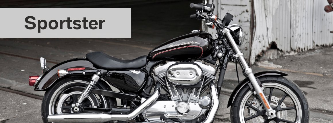 Sportster Dein Bike Harley Davidson